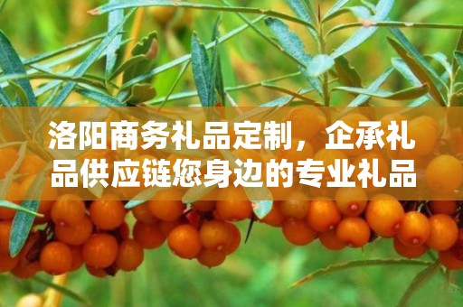 洛阳商务礼品定制，企承礼品供应链您身边的专业礼品定制公司