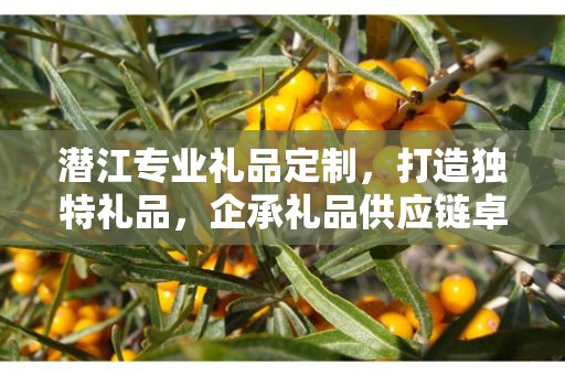 潜江专业礼品定制，打造独特礼品，企承礼品供应链卓越服务